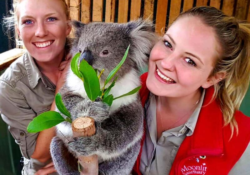 Moonlit Sanctuary Conservation Park Entry Ticket - Key Points