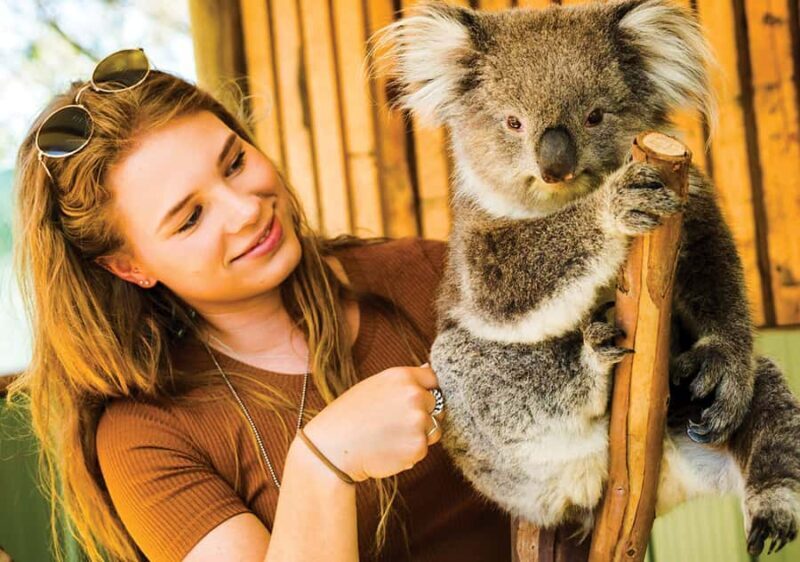 Moonlit Sanctuary Conservation Park Entry Ticket - Authentic Encounters That Make the Sanctuary Special