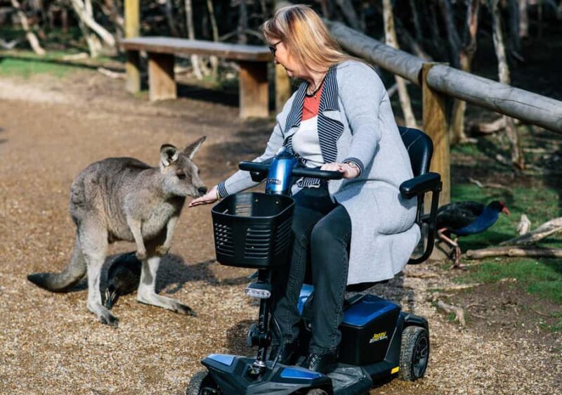 Moonlit Sanctuary Conservation Park Entry Ticket - The Practicalities: Pricing, Timing, and Tips