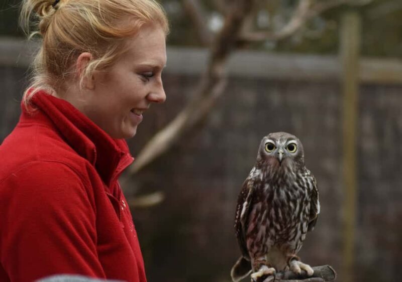 Moonlit Sanctuary Conservation Park Entry Ticket - Authentic Reviews: What Visitors Are Saying