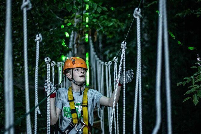 MoonTrek Nighttime Aerial Adventure - An Adventure Under the Stars: What to Expect