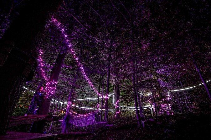 MoonTrek Nighttime Aerial Adventure - Breakdown of the Experience