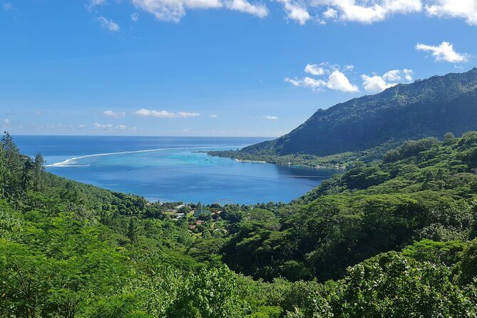Moorea Aito 4WD Safari Tour - Half day - FAQ