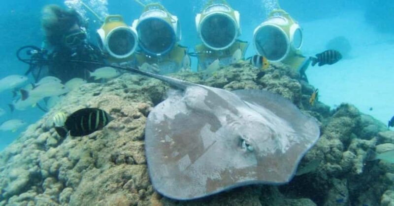 Moorea: Aquablue Helmet Underwater Walking Experience - Final Thoughts