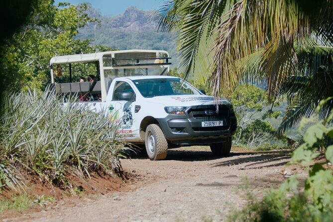 Moorea Cruise Ships: 4x4, Belvedere,Magic Mountain pineaple - FAQ