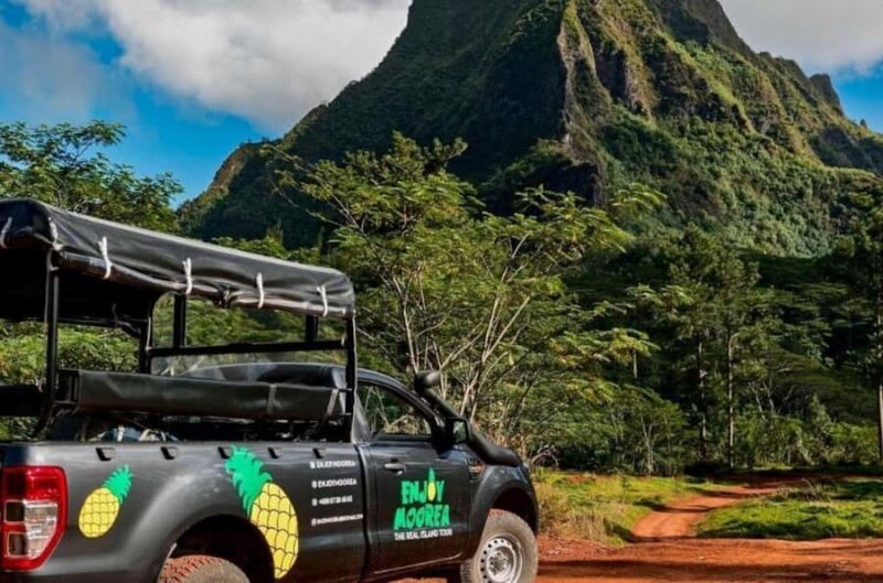 Moorea: Island Tour with Waterfall Hike and Lunch - Who Will Love This Tour?