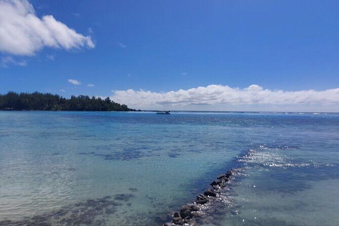 Moorea Private Full Day Tour - Final Thoughts