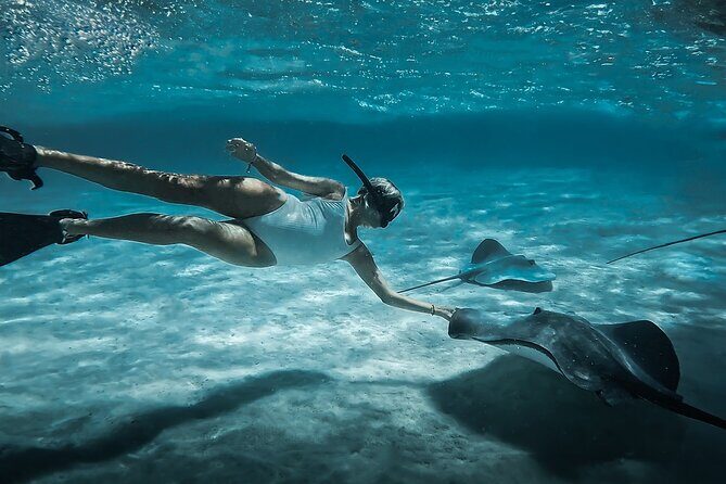 Moorea: Private Snorkeling Tour with Certify Guide - Exploring Moorea with a Private Snorkeling Tour and Certified Guides