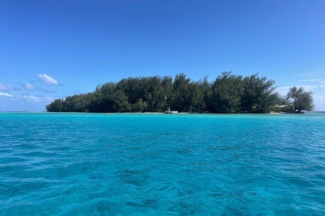 Moorea: Private Snorkeling Tour with Certify Guide - Final Thoughts