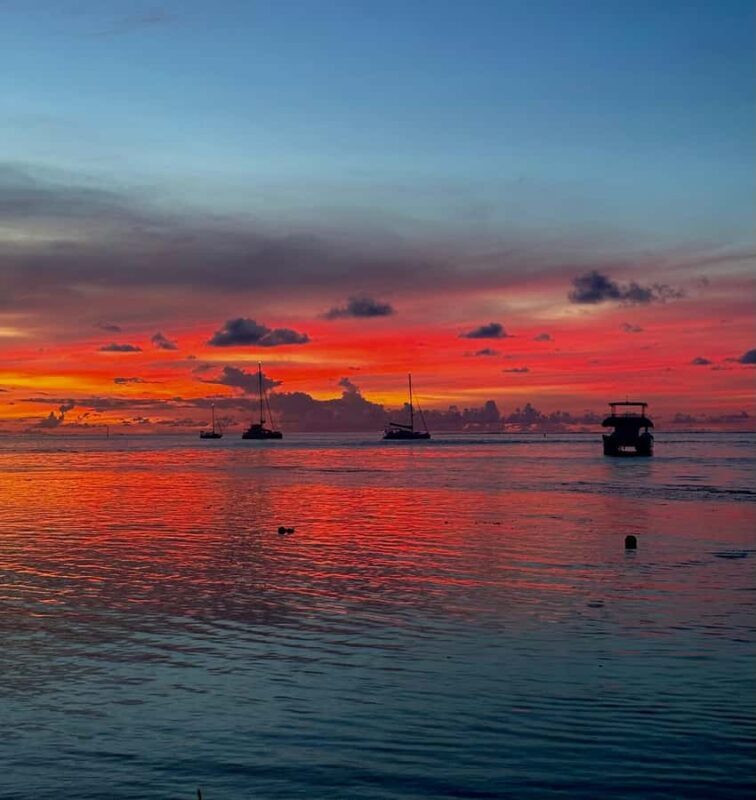 Moorea: Private Sunset Cruise with Champagne & Snorkeling - Key Points