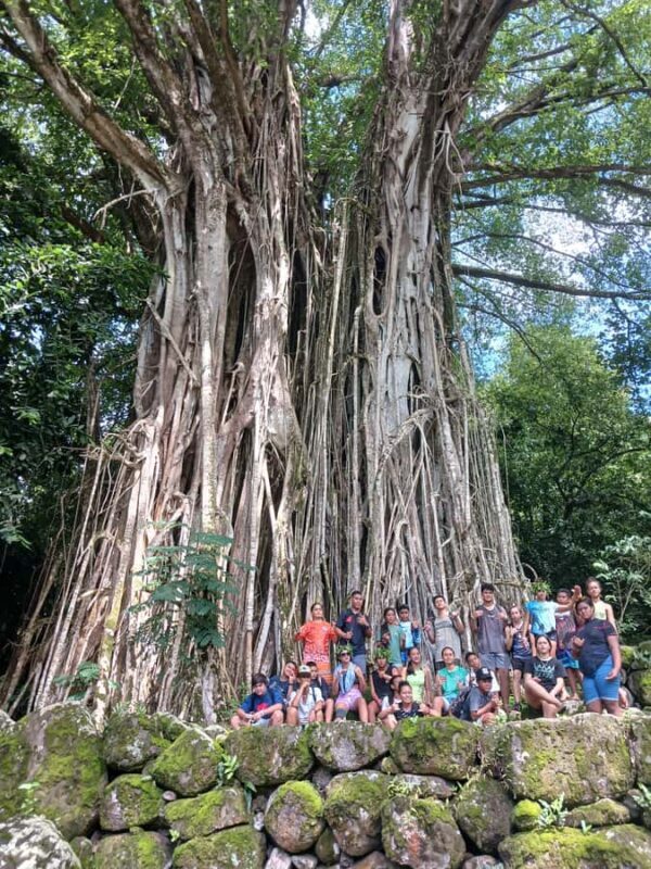 Moorea : Safari Nature and Culture Tour with local guide - FAQ