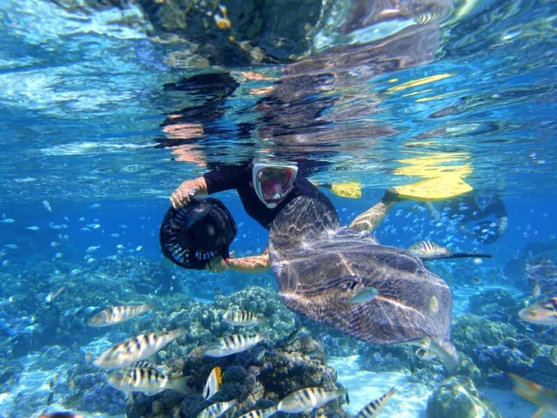 Moorea: Sea Scooter Snorkeling Tour - Practical Details and Tips