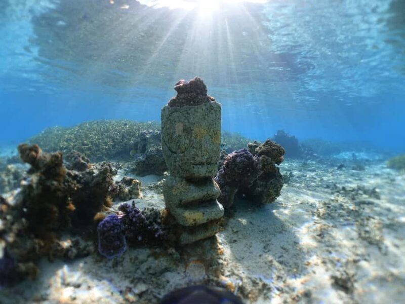 Moorea: Sea Scooter Snorkeling Tour - Who Will Love This Tour?