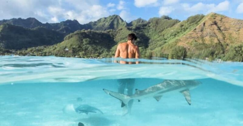 Moorea: Small Group Snorkeling Tour with local guide - The Perfect Rest and Local Flavor