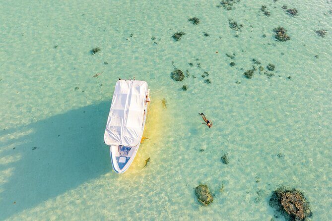 Moorea Sunset Boat Trip - Key Points