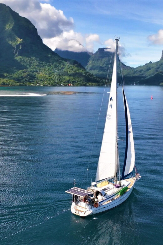 Moorea: Whale watching adventure - The Sum Up
