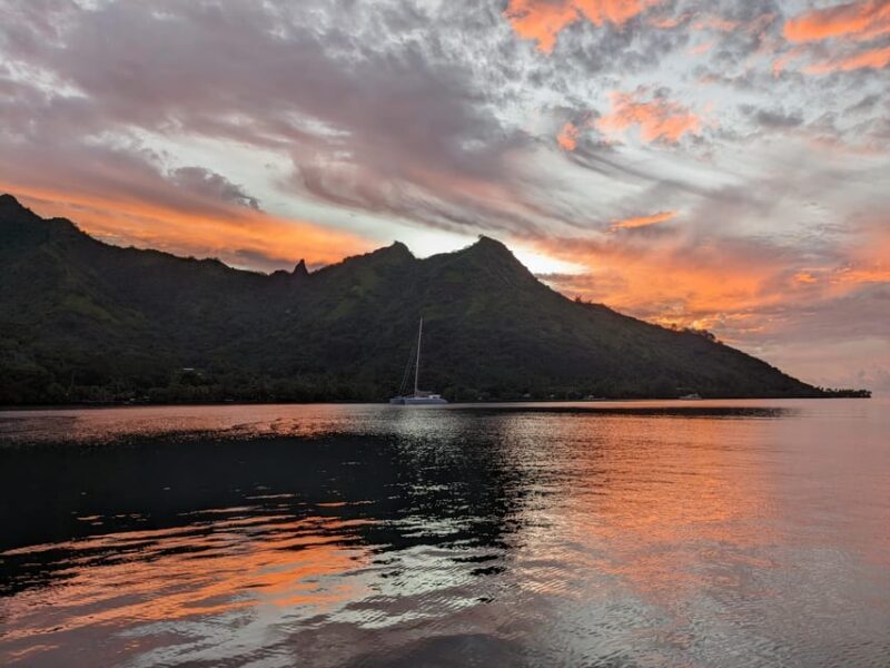 Moorea: Whale watching adventure - FAQs