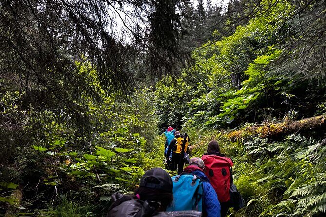 Moose Pass Hiking and Kayak Guided Tour Experience - Key Points