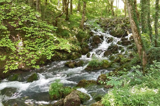 Moraca, Tara & Piva canyons with Durmitor national park - The Sum Up
