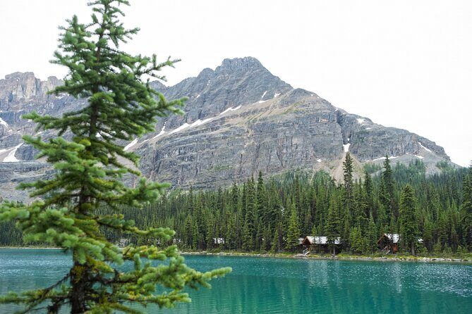 Moraine Lake and Lake Louise Sightseeing Half Day Tour - Who Should Consider This Tour?