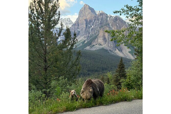 Moraine Lake, Lake Louise Afternoon Tour Half day From Banff - Key Points