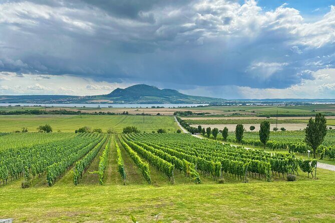 Moravian E-Bike & Wine Day Trip From Brno - An Overview of What to Expect