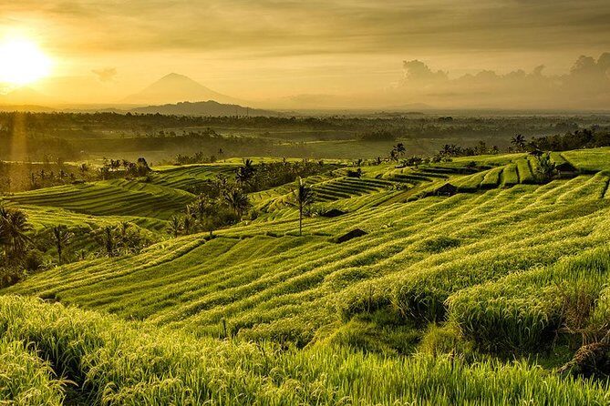 More Complete: Discover Bali In 3 Days Private Tour Package - Final Thoughts
