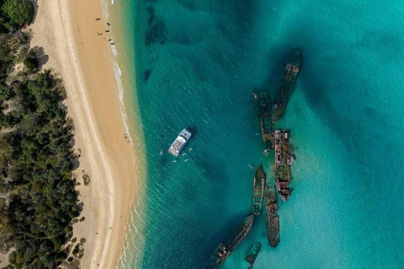 Moreton Island: Dolphin & Tangalooma Wrecks Snorkel Cruise - Key Points
