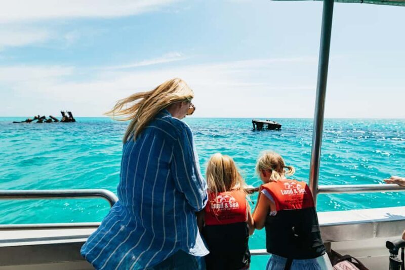 Moreton Island: Marine Discovery Cruise & Dolphin Feeding - The Dolphin Feeding: An Unforgettable Highlight