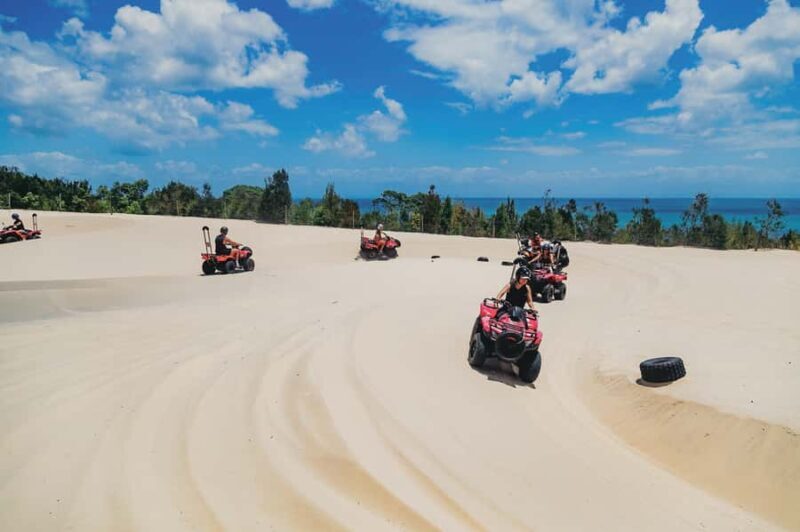 Moreton Island: Tangalooma ATV Quad Bike and Dolphin Viewing - The ATV Quad Bike Experience: Speed, Sand, and Bushland