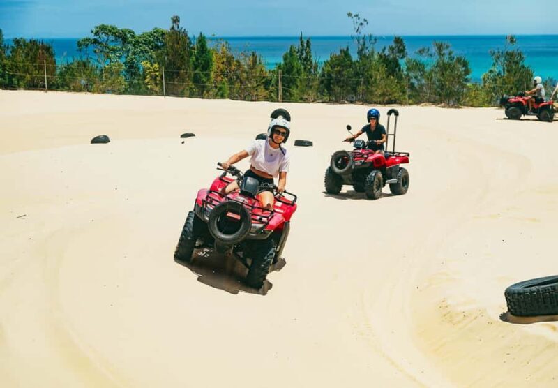 Moreton Island: Tangalooma ATV Quad Bike & Dolphin Feeding - Who Will Love This Tour?