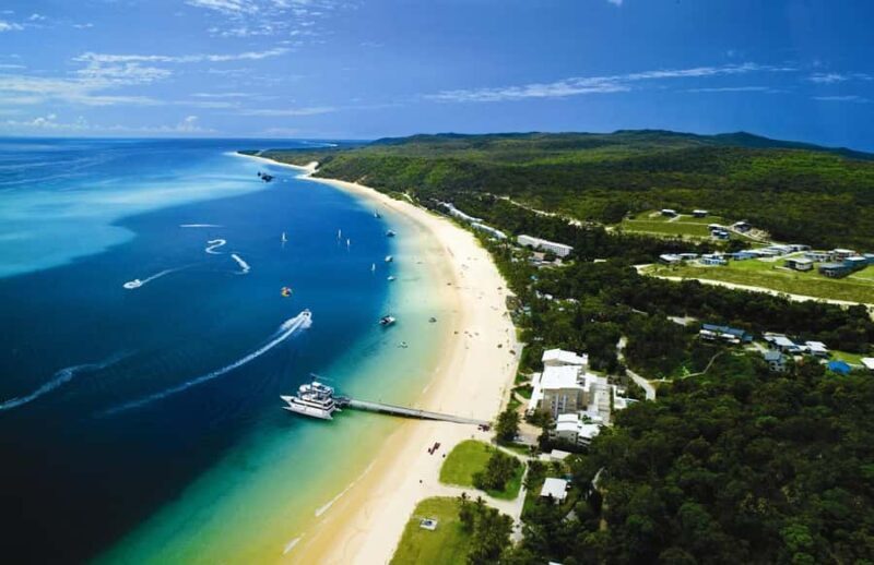 Moreton Island: Tangalooma Day Trip & Whale Watching Cruise - Starting Your Day: From Brisbane to Moreton Island