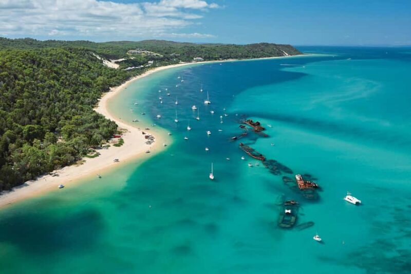 Moreton Island: Tangalooma Day Trip with Desert Safari - An In-Depth Look at the Experience