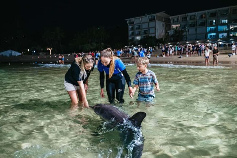 Moreton Island: Tangalooma Desert Safari and Dolphin Feeding - Key Points