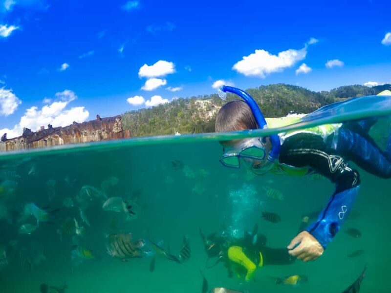 Moreton Island: Tangalooma Snorkelling with Dolphin Viewing - Exploring the Itinerary in Detail