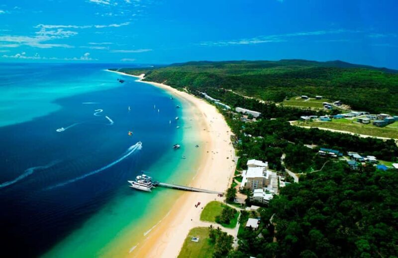Moreton Island: Tangalooma Whale Watching & Dolphin Viewing - The Sum Up