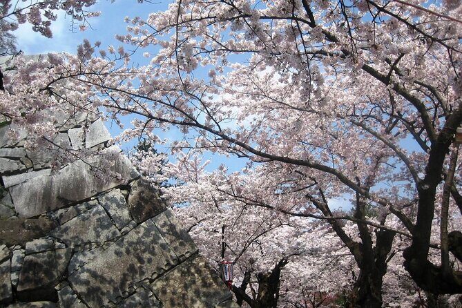 Morioka Half-Day Private Tour with Government-Licensed Guide - Detailed Itinerary Breakdown