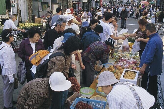 Morioka Half-Day Private Tour with Government-Licensed Guide - Practical Details and What to Expect
