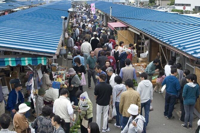Morioka Half-Day Private Tour with Government-Licensed Guide - Why This Tour Works Well