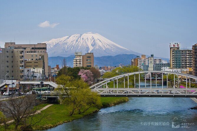 Morioka Town Walking Tour - Who Will Love This Tour?