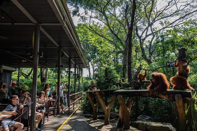 Morning at the Zoo with 1-way Transfer (Free & Easy) - Value and Pricing