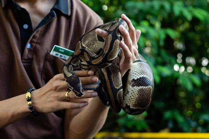 Morning at the Zoo with 1-way Transfer (Free & Easy) - Who Is This Tour Best For?