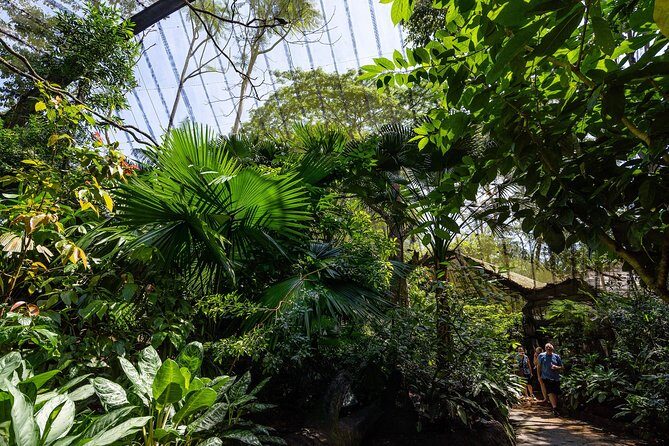Morning at the Zoo with 1-way Transfer (Free & Easy) - FAQ