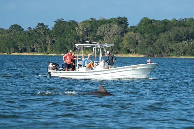 Morning Beaufort River Tour - An In-Depth Look at the Morning Beaufort River Tour