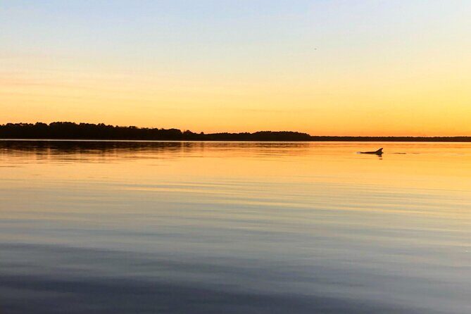 Morning Beaufort River Tour - Who Is This Tour Best For?