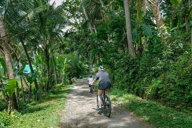 Morning Best Bali Cycling Kintamani Tour - The Itinerary Breakdown: What to Expect
