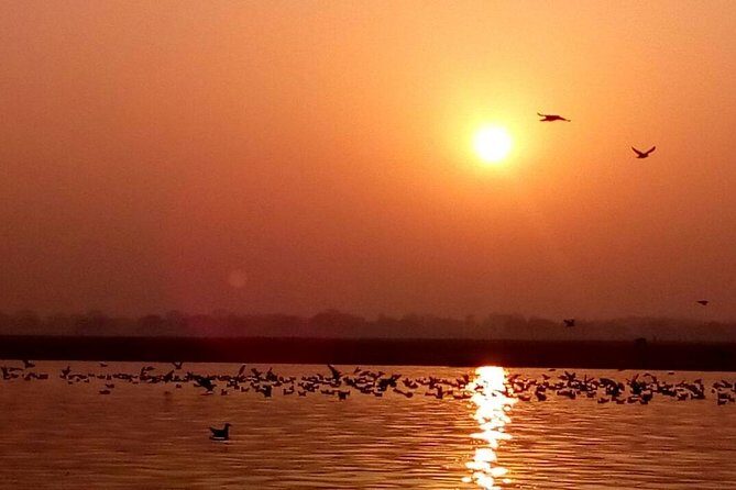 Morning Boat Tour followed by a short heritage walking tour in VARANASI - Authenticity and Insight from Reviews