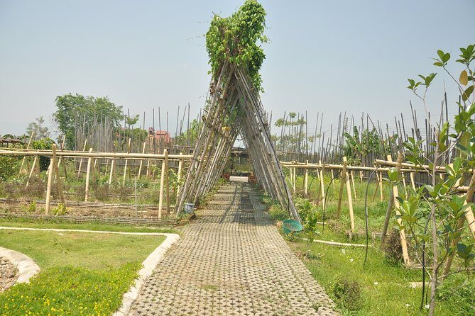Morning Cooking Class in Organic Farm with Local Market Tour - Frequently Asked Questions