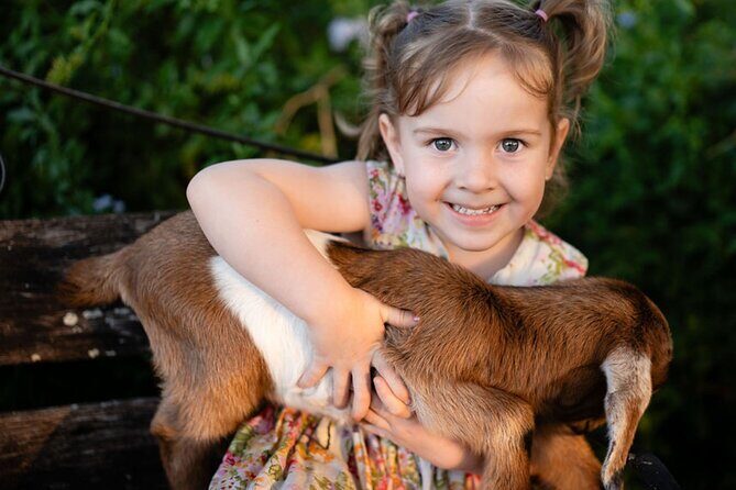 Morning Farm Experience near Gympie & Noosa - What to Expect on the Farm