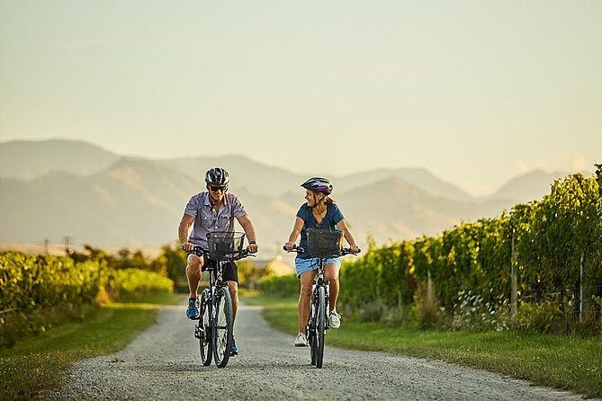 Morning Guided with Afternoon Self-Guided Biking Wine Tour - The Itinerary: What to Expect